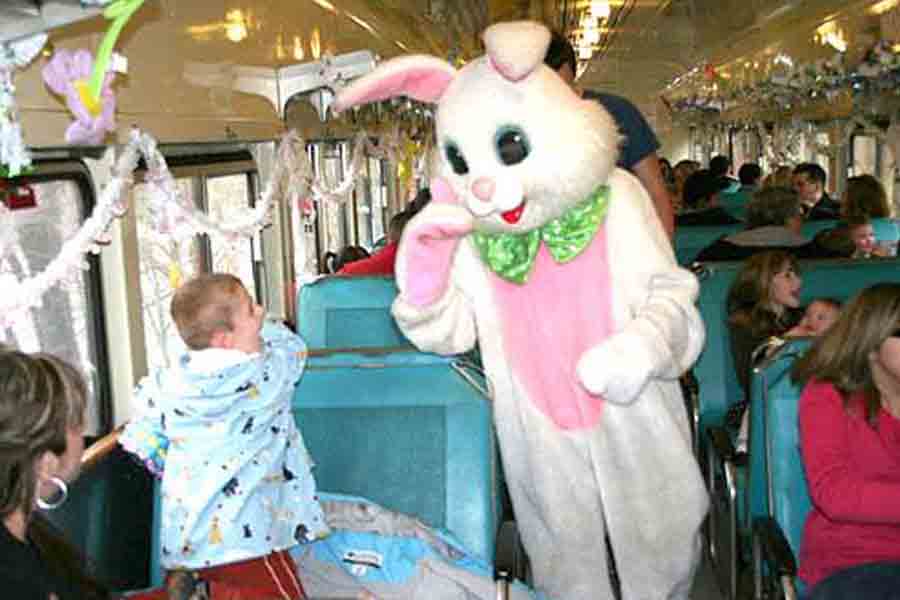 Easter Bunny Express, Easter Basket For Kids